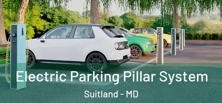  Electric Parking Pillar System Suitland - MD