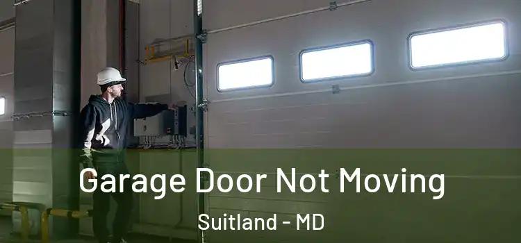 Garage Door Not Moving Suitland - MD