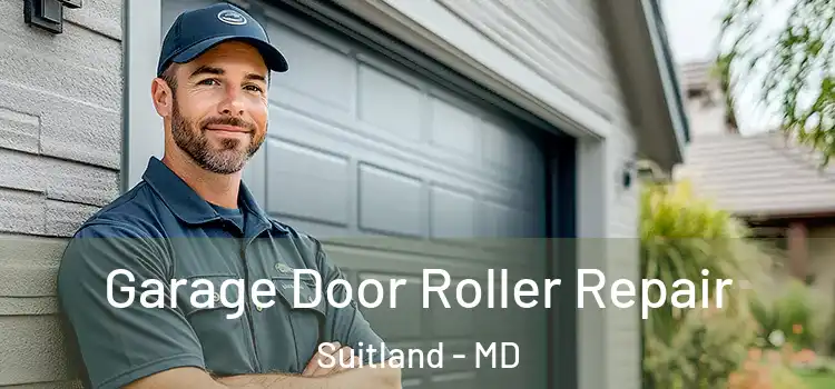  Garage Door Roller Repair Suitland - MD