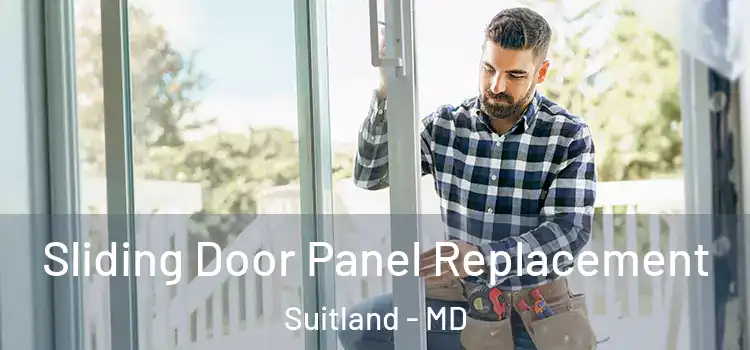  Sliding Door Panel Replacement Suitland - MD